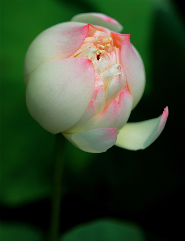 ������������޹صĶ����ɣ�����