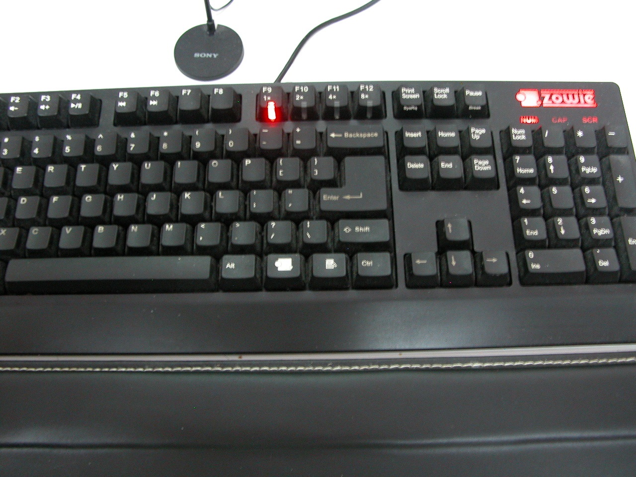 DSCN0872.JPG