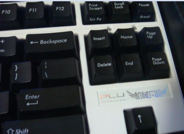 ���� PLU87��ɫ����