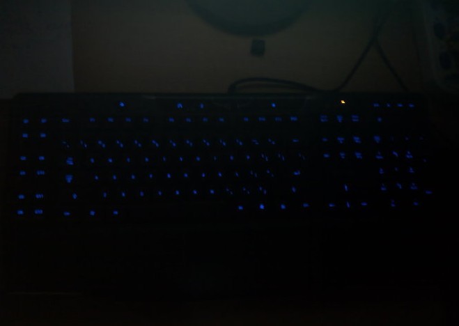 w.jpg