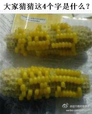 �����ȥ.�������������˵���ĳ���