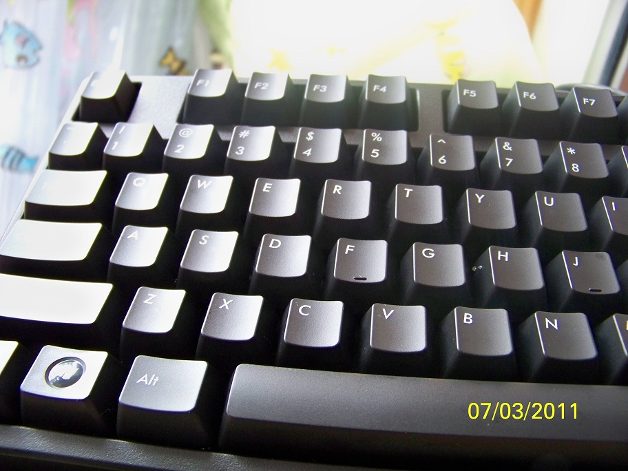 100_3148.jpg