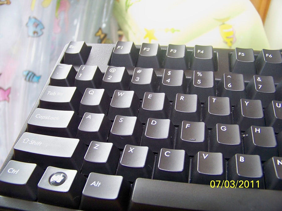 100_3146.jpg