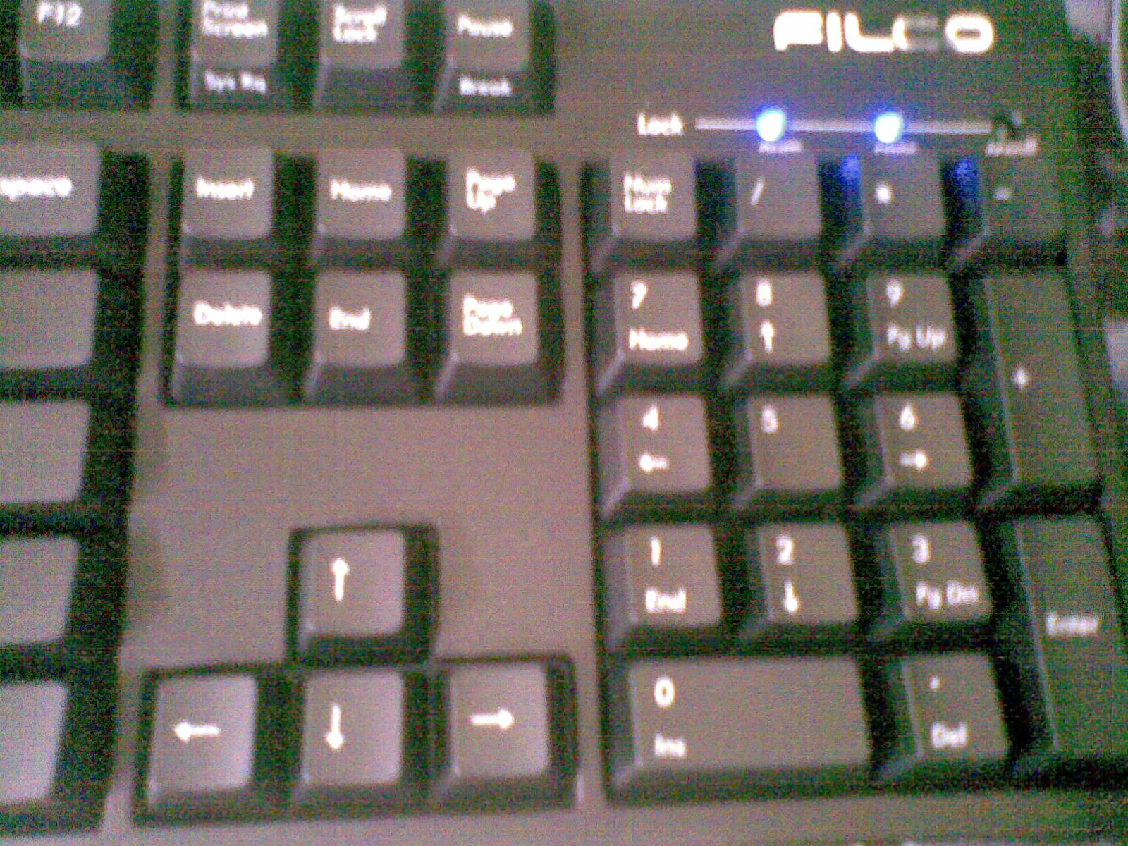���̳���95��FILCO����~����ϲ����Ĥ��ľ�У���~~