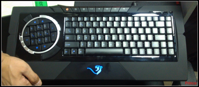 EMPREX Ӣ���ռ��� ��ҿ���������- -