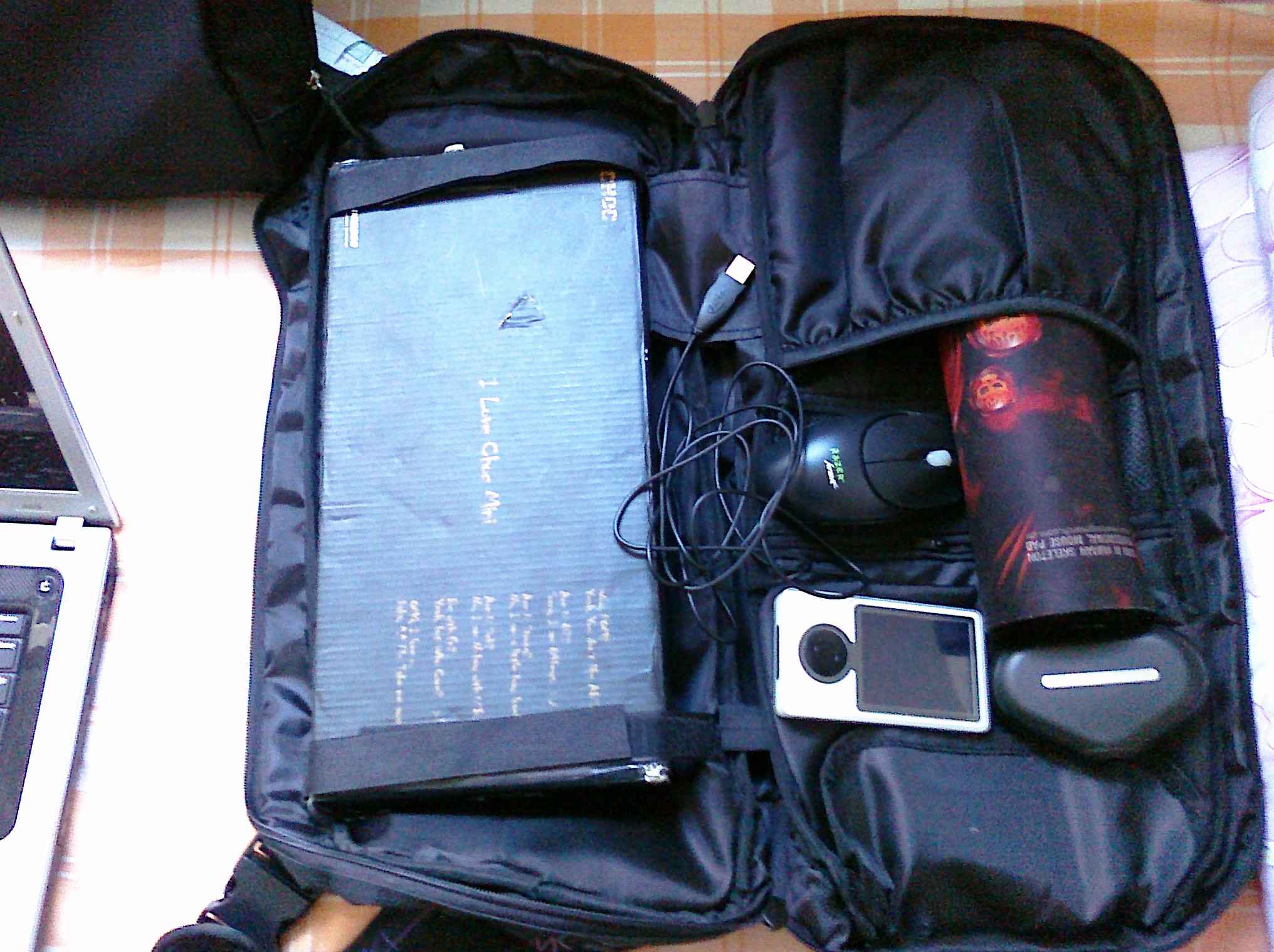PRE_2011-07-05-140812.jpg