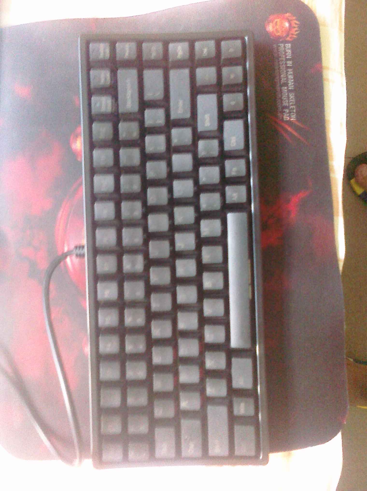 PRE_2011-07-05-140156.jpg