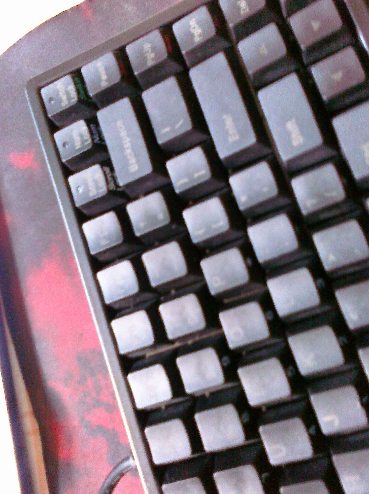 PRE_2011-07-05-140316.jpg