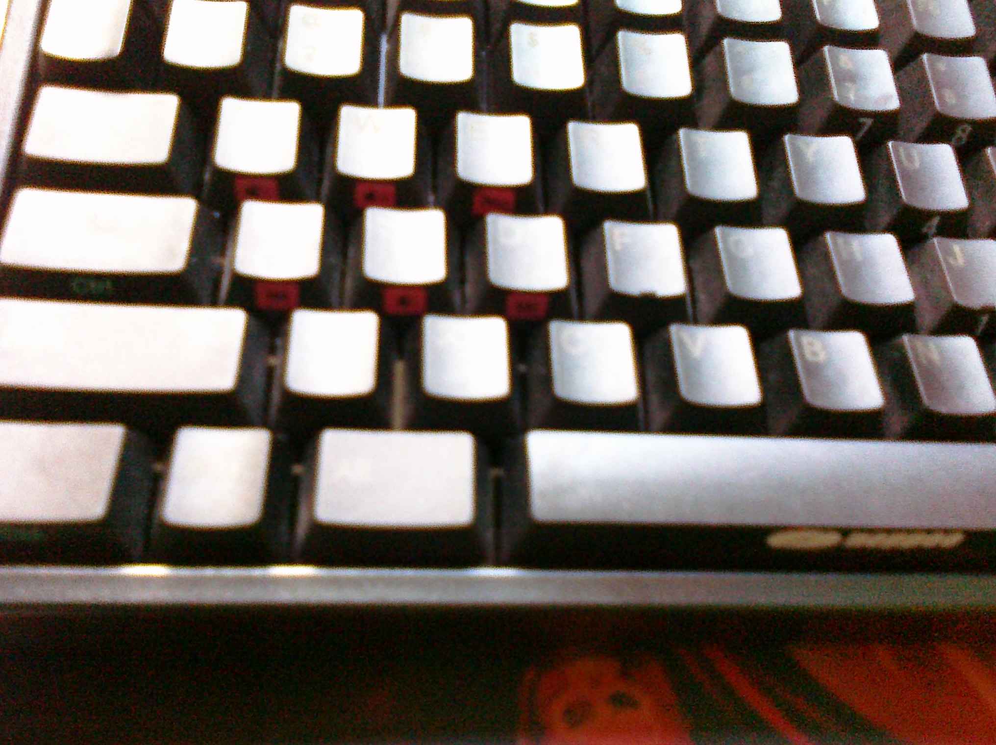 PRE_2011-07-05-140400.jpg