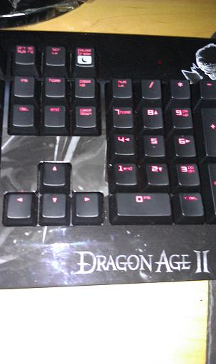 IMAG0187.jpg