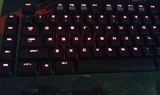 IMAG0189.jpg