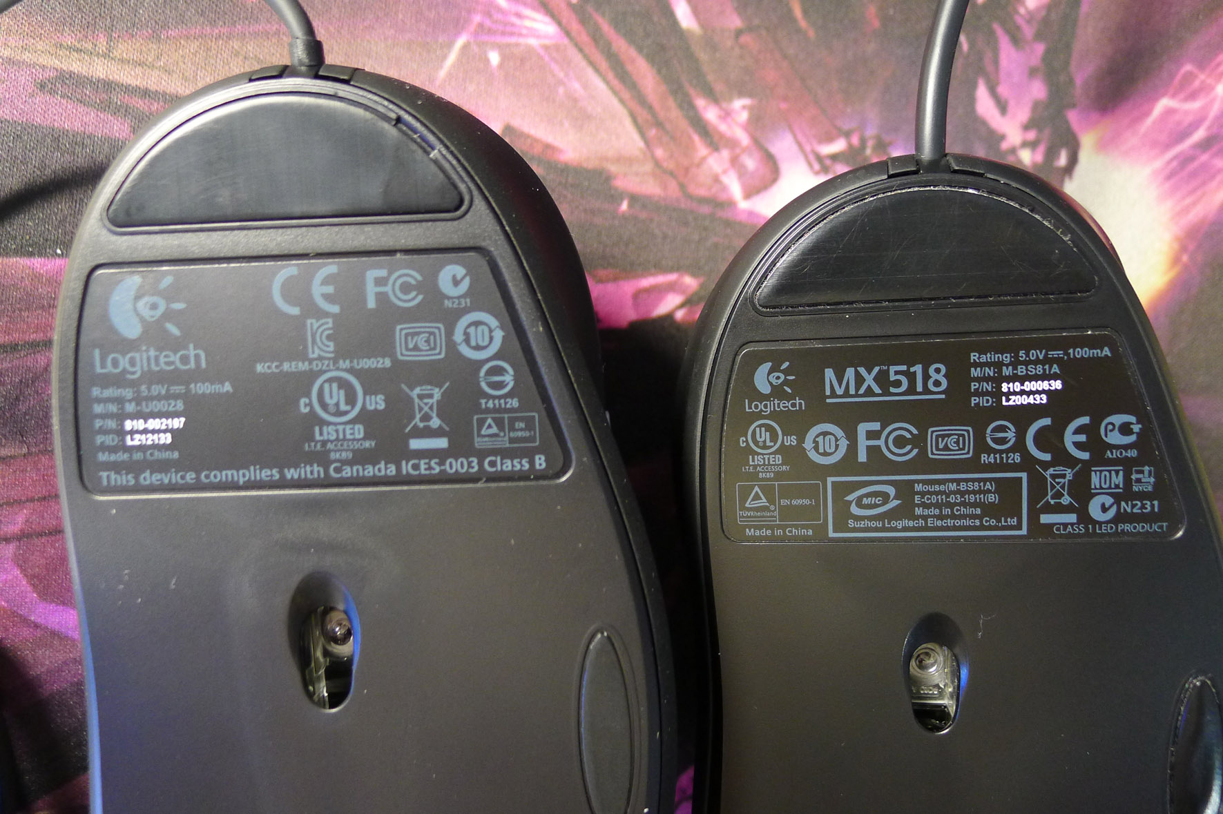P1000256.JPG