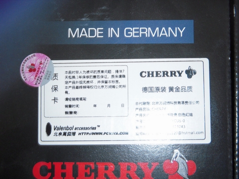 DSCN0303.JPG