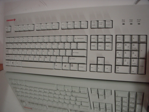 DSCN0296.JPG