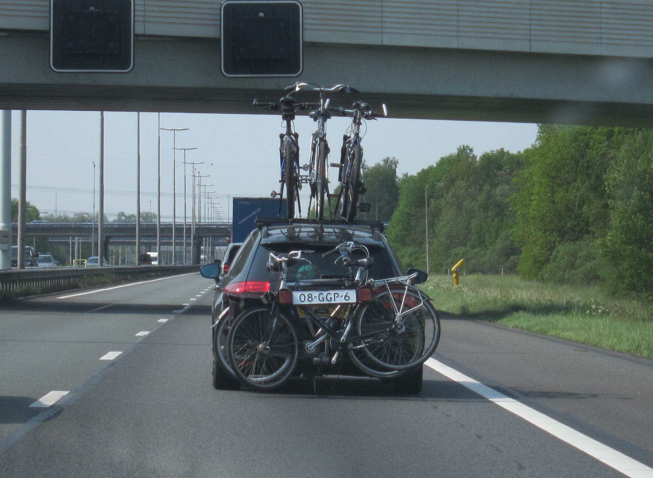 ����&�¹�ʮһ��������֮��----����Ů���ڣ���ʮһ�죩