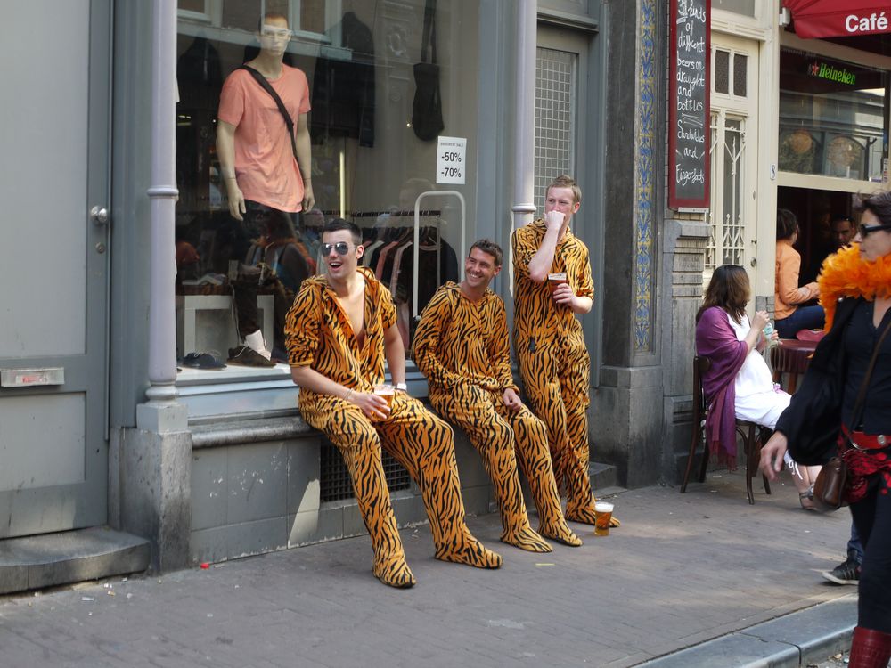 ����&�¹�ʮһ��������֮��----����Ů���ڣ���ʮһ�죩