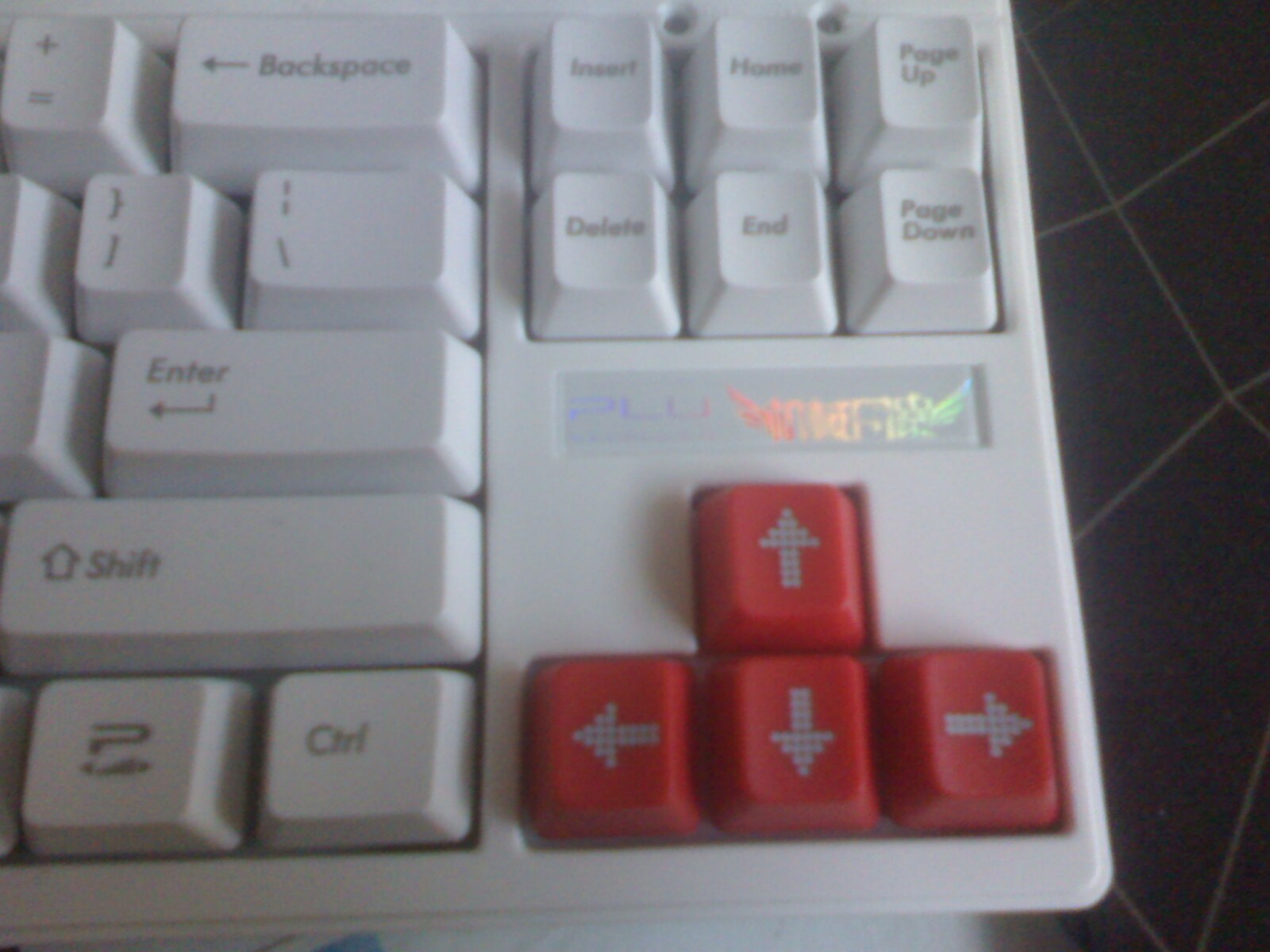 IMG0711191300.jpg