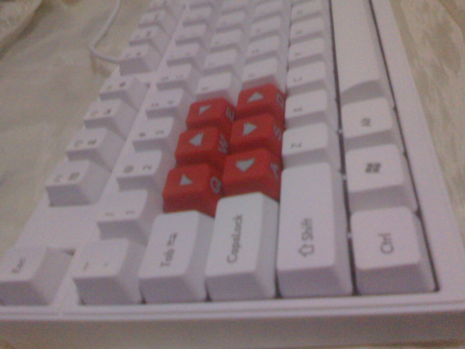 IMG0711202701.jpg