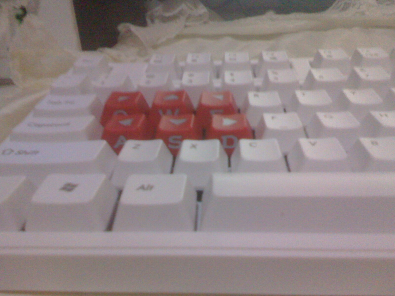 IMG0711202702.jpg