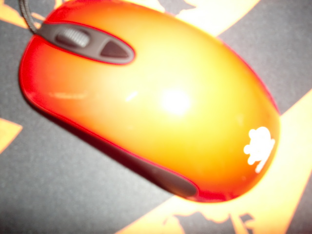 CIMG0484.JPG