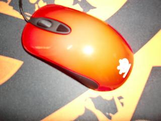 CIMG0483.JPG
