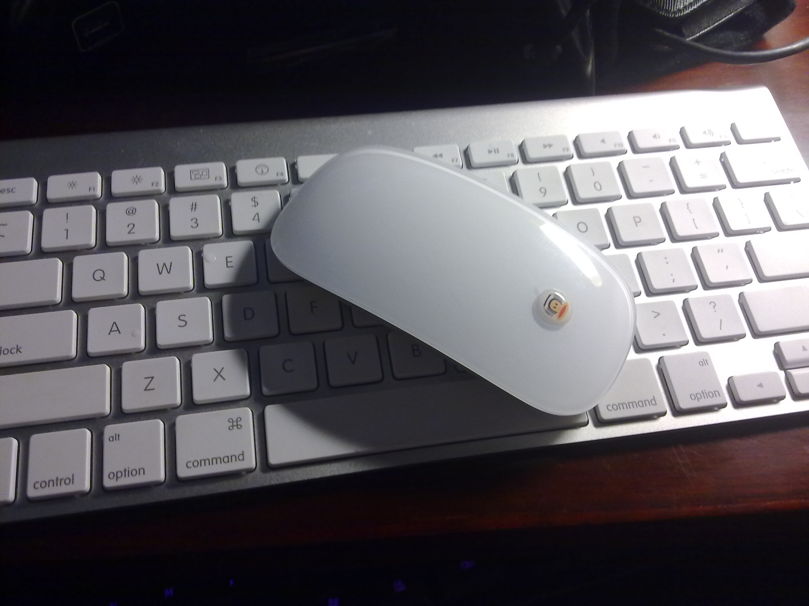20110714036.jpg
