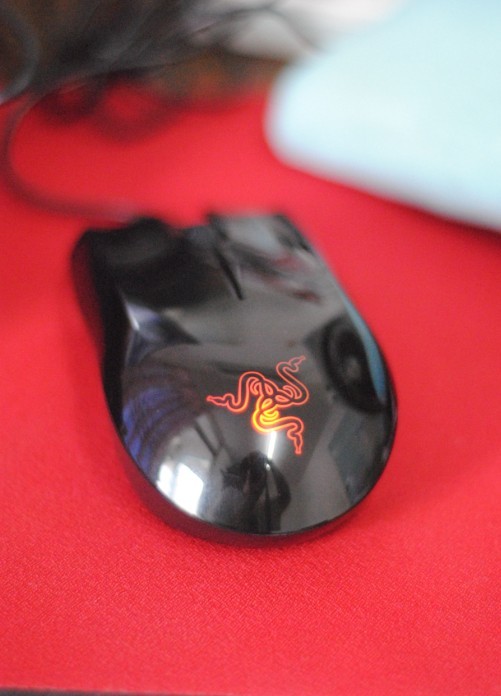 - -  Ը߲ʵ  