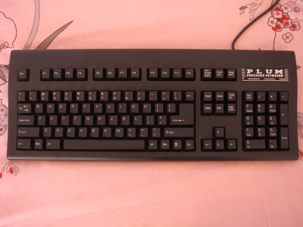 ��һplum���᲻������