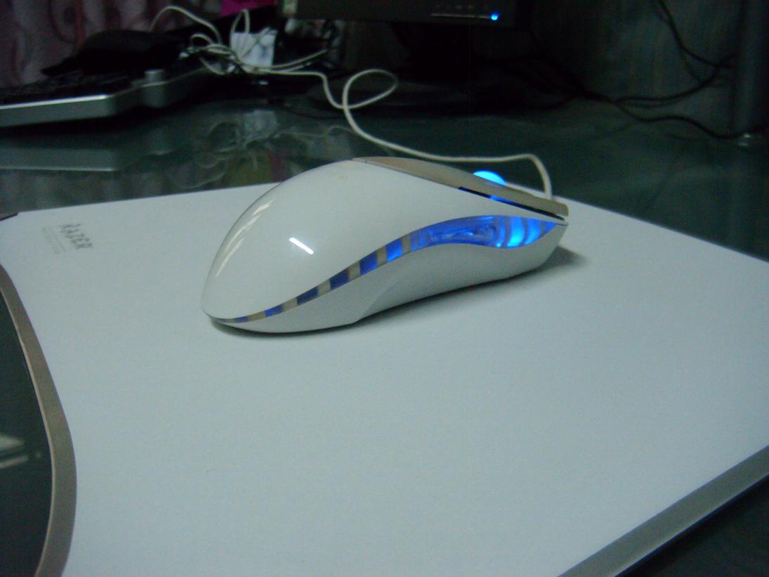 DSCF0923.jpg