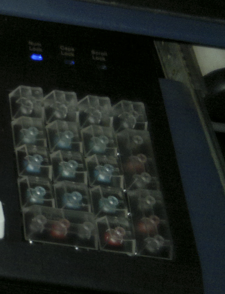 20110711130.JPG