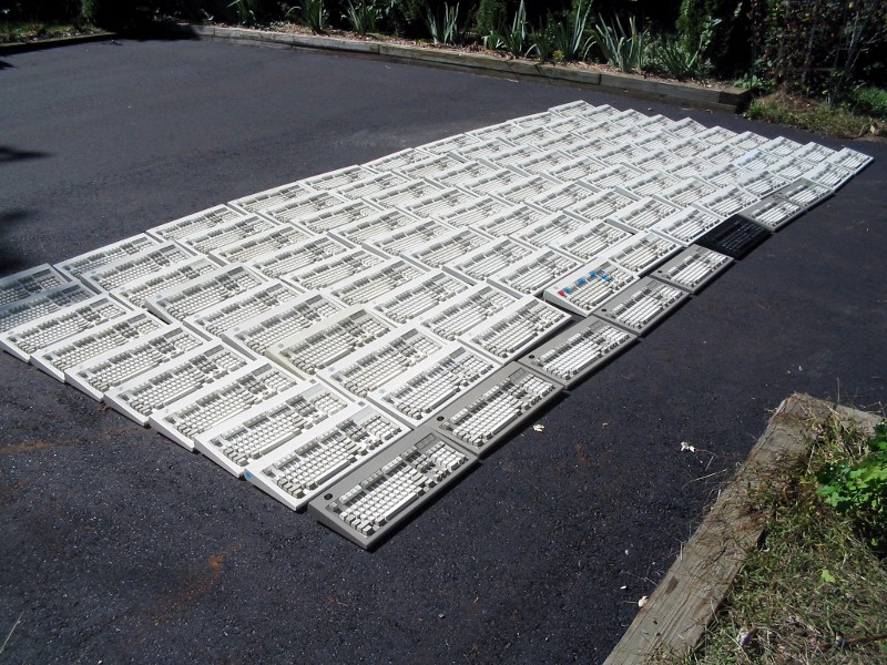 50_modelm.jpg