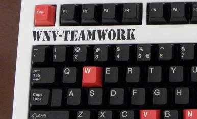 Cherry G80-1865L  WNV�ع����е���̲���
