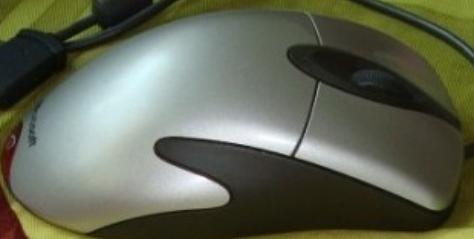 3333333.jpg