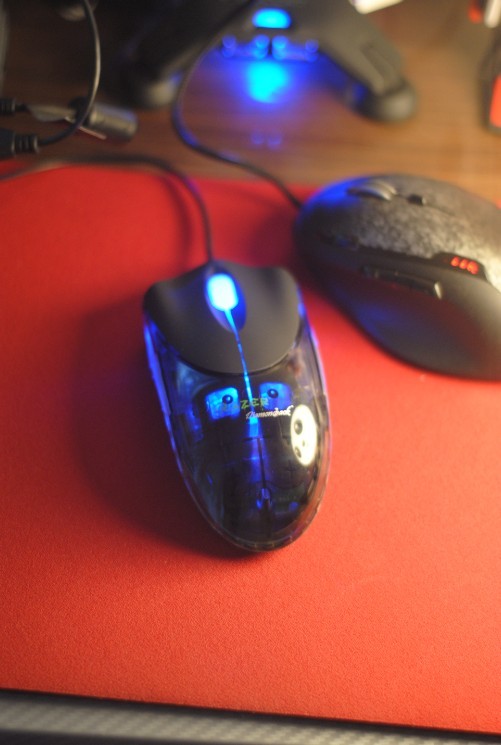 ��β����ɫ����  - -