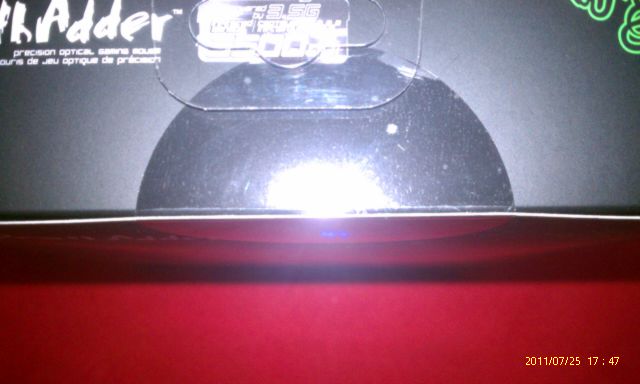 IMAG0229.jpg