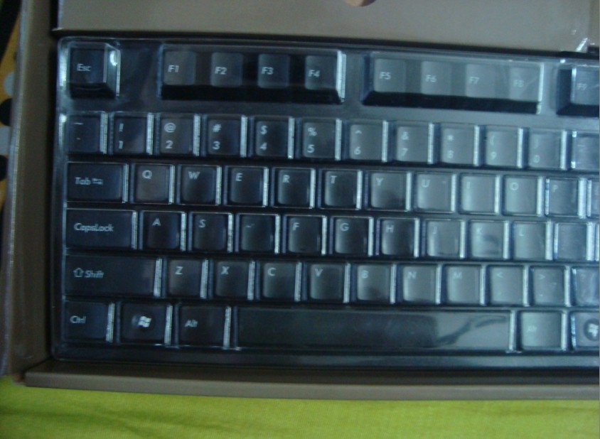asdasxccx23213.jpg