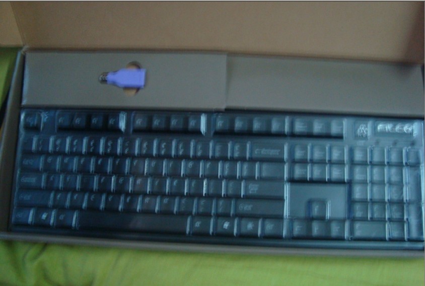 asffasd213123123.jpg