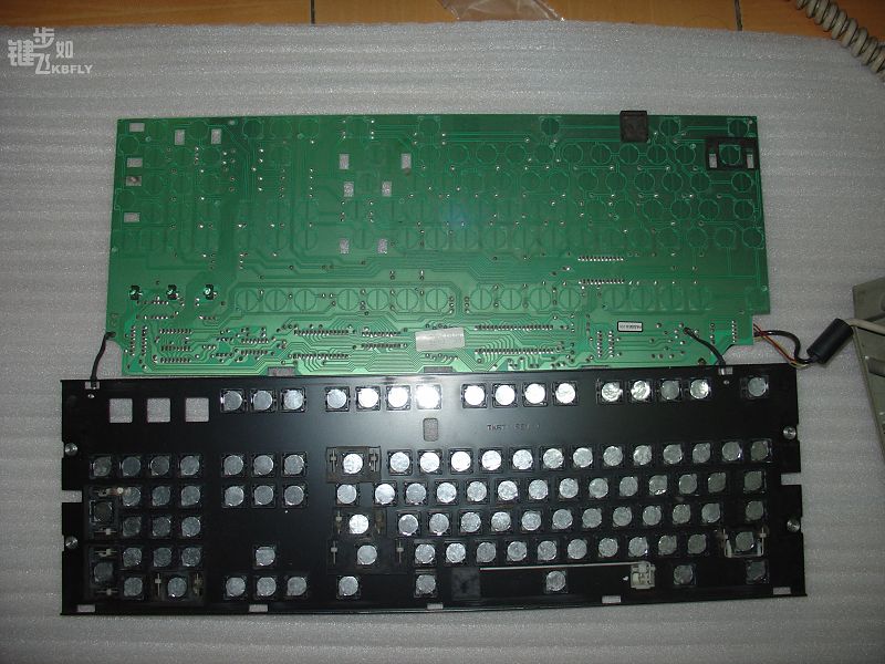 DSC03073.jpg