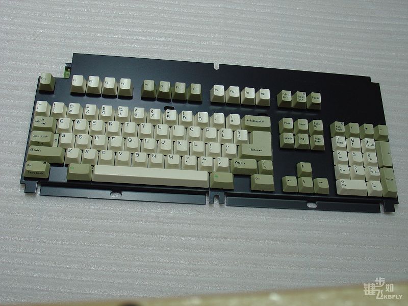 DSC03167.jpg