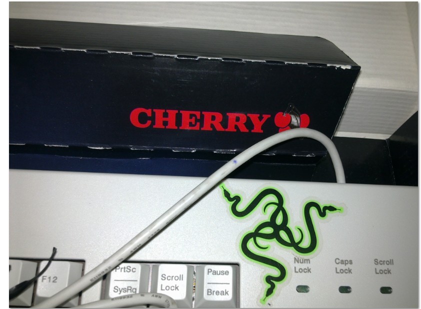 ���� ��
