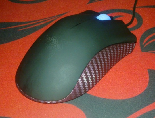 13.jpg