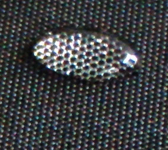 DSC02842.JPG