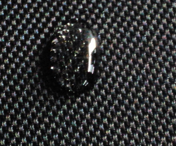 DSC02836.JPG