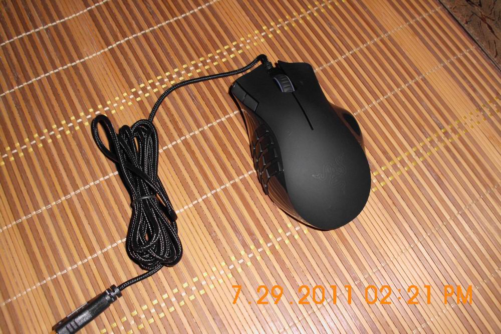 DSCI0194.JPG