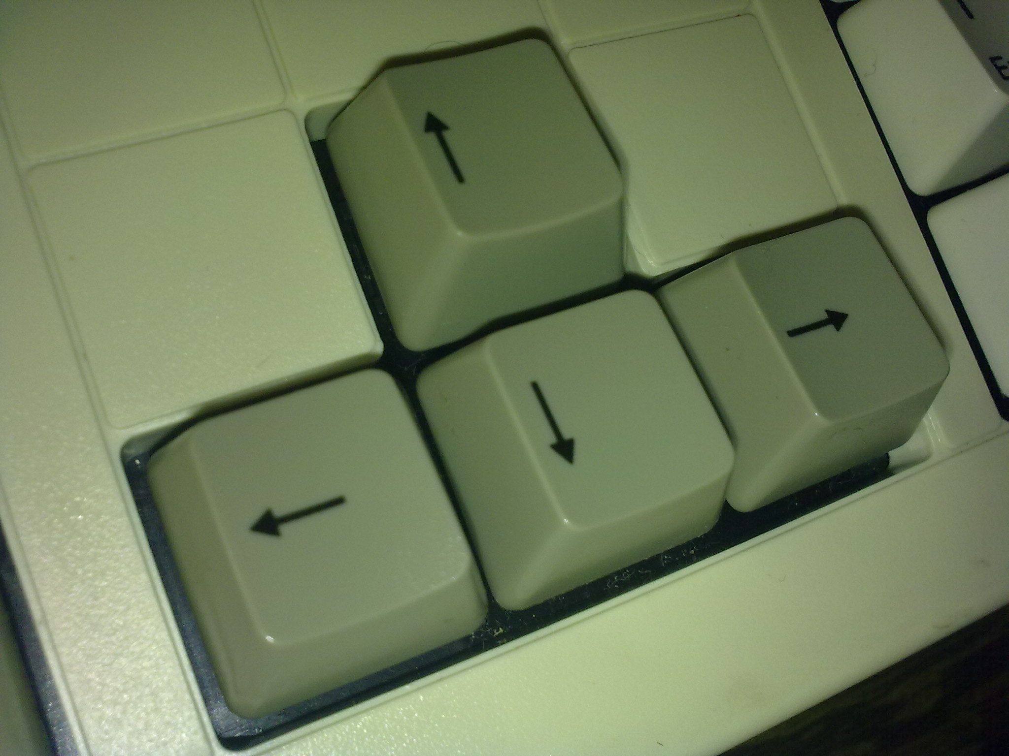 20110724888.jpg
