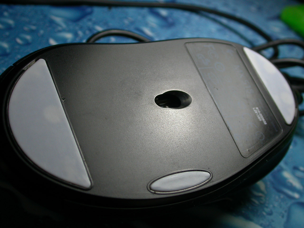 DSCN1168.jpg