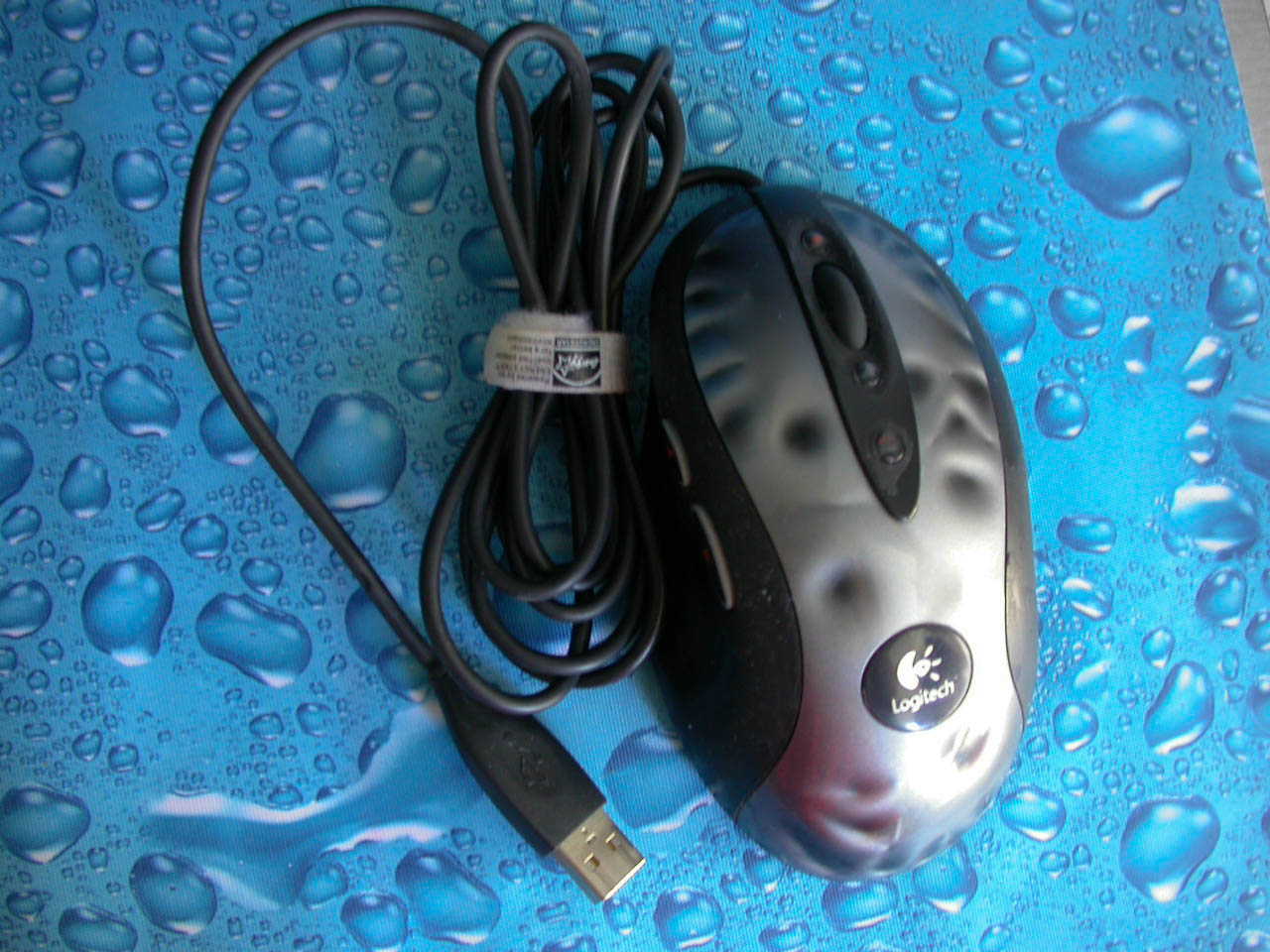 DSCN1166.jpg