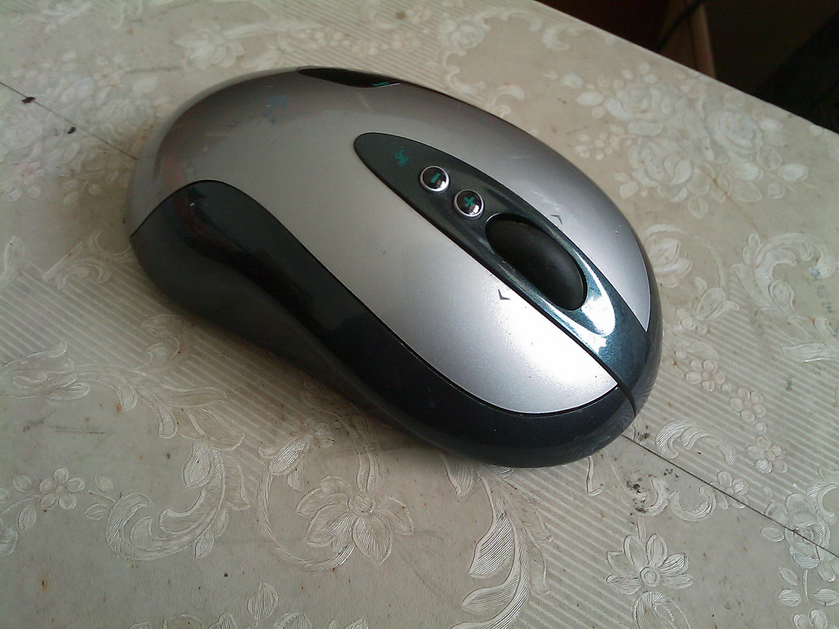 IMAG0137---.jpg