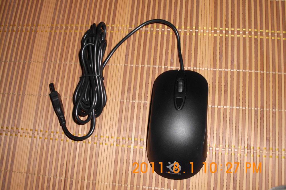 DSCI0218.JPG