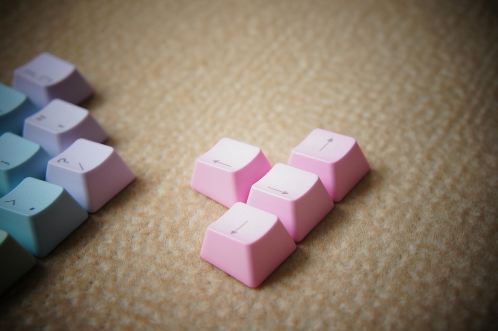 nEO_IMG_DSC01322.jpg